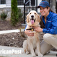 American Pest in Fulton, MD Pest Control Chemicals