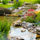 Living Waters Pond Supplies in Lancaster, OH Business Services
