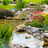 Living Waters Pond Supplies in Lancaster, OH