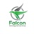 Falcon Technology Services Group in Central Colorado City - Colorado Springs, CO