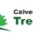 Calvert County Tree Service in Lusby, MD