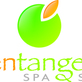 Green Tangerine Spa & Salon in Burlington, MA Hair Care Products