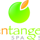 Green Tangerine Spa & Salon in Canton, CT Hair Care & Treatment