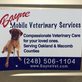 Bayne Mobile Veterinary Services in Rochester Hills, MI Veterinarians