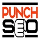 Punch Seo in North Delaware - Buffalo, NY Marketing