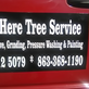 Out Here Tree Service in Zolfo Springs, FL Tree Services