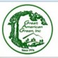 Great American Green, in Canton, GA Artificial Grass