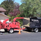 Better City Tree Services, in Bay Point, CA Tree Services