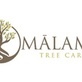 Malama Tree Care in Kaneohe, HI Lawn & Tree Service