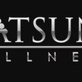 Matsuno Wellness in North Dallas - Dallas, TX Massage Therapy