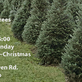 Shaker Tract Tree Farm in Harrison, OH Tree Services