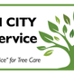 Queen City Tree Service, in Waxhaw, NC Tree Services