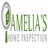 Amelia's Home Inspection Racine in Racine, WI 53404 Inspection