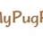 My Pug Puppy in Millersburg, OH