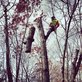 Family Tree Arborist in Fishkill, NY Tree Services