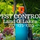 Pest Control Land O Lakes in Land O Lakes, FL