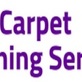 Commercial Carpet Cleaner in Manhattan, NY