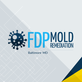 FDP Mold Remediation in Pimlico - Baltimore, MD Fire & Water Damage Restoration