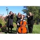 Rondo String Quartet in Rochester Hills, MI Wedding Musicians