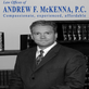 Law Offices of Andrew F. Mckenna, P.C in Denver, CO Business Services