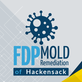 FDP Mold Remediation of Hackensack in Hackensack, NJ Molding Contractors