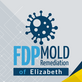 FDP Mold Remediation of Elizabeth in Elizabeth, NJ Green - Mold & Mildew Services
