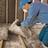 We Do Attic Insulation Services in Los Gatos, CA