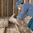 Santa Clara A+ Insulation Service in Santa Clara, CA
