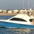 Knot Tell'n Charters in Northeast - Virginia Beach, VA