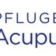 Pflugerville Acupuncture in Pflugerville, TX Holistic Practitioner