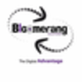 Bloomerang Solutions in Sarasota, FL Marketing Services