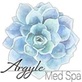 Argyle Med Spa in Northlake, TX Cosmetics & Skin Care Services