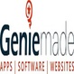 Geniemade in Springfield, VA Website Design & Marketing