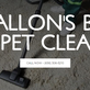 O'fallon's Best Carpet Cleaner in O fallon, MO Carpet Cleaning & Repairing
