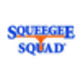 Squeegee Squad in West Des Moines, IA Window & Door Contractors