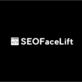 Seofacelift in Battle Ground, WA Internet Marketing Services