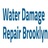 Water Damage Repair Brooklyn in Brooklyn, NY