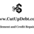 Cut Up Debt Settlement & Credit Repair in Lindale, TX