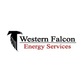 Western Falcon in Humble, TX Assistive Technology