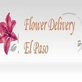 Same Day Flower Delivery El Paso TX - Send Flowers in Northwest - El Paso, TX Florists