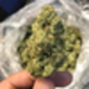 Bud Delivery in Turlock, CA Health & Medical