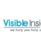 Visible Insignia in Westchase - Houston, TX Advertising Agencies