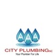 AAA City Plumbing in Charlotte, NC Plumbing Contractors