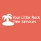 Your Little Rock Tree Service in Downtown - Little Rock, AR Tree Services