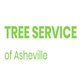 Tree Service of Asheville in Asheville, NC Lawn & Tree Service