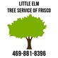 Little Elm Tree Service of Frisco in Frisco, TX Stump & Tree Removal