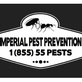 Pest Control Services in South Daytona, FL 32119