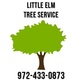 Little Elm Tree Service in Little Elm, TX Tree Services
