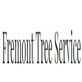 Fremont Tree Service Pros in Fremont, CA Tree Consultants