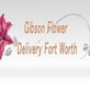 Same Day Flower Delivery Fort Worth TX - Send Flowers in Arlington Heights - Fort Worth, TX Florists